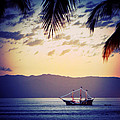 Bahia de Banderas